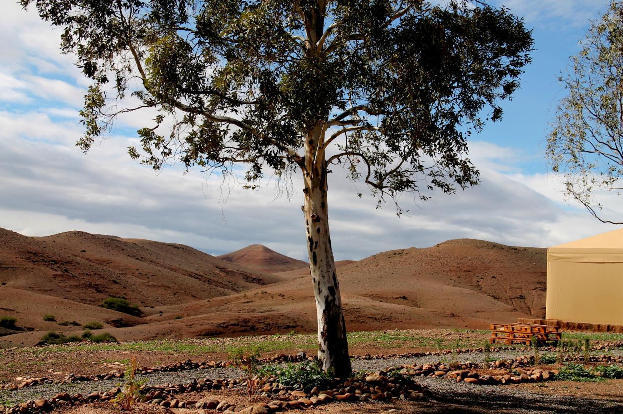 Ngayan Camp Otel Taïzelt Dış mekan fotoğraf