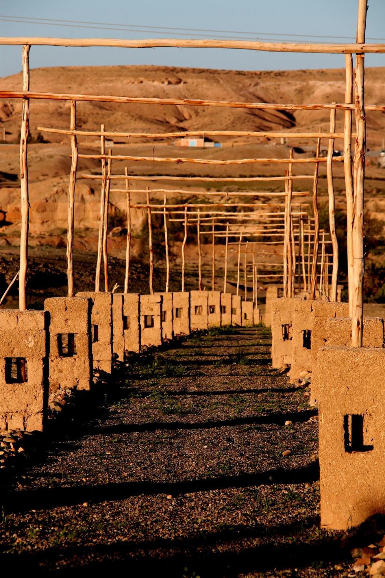Ngayan Camp Otel Taïzelt Dış mekan fotoğraf