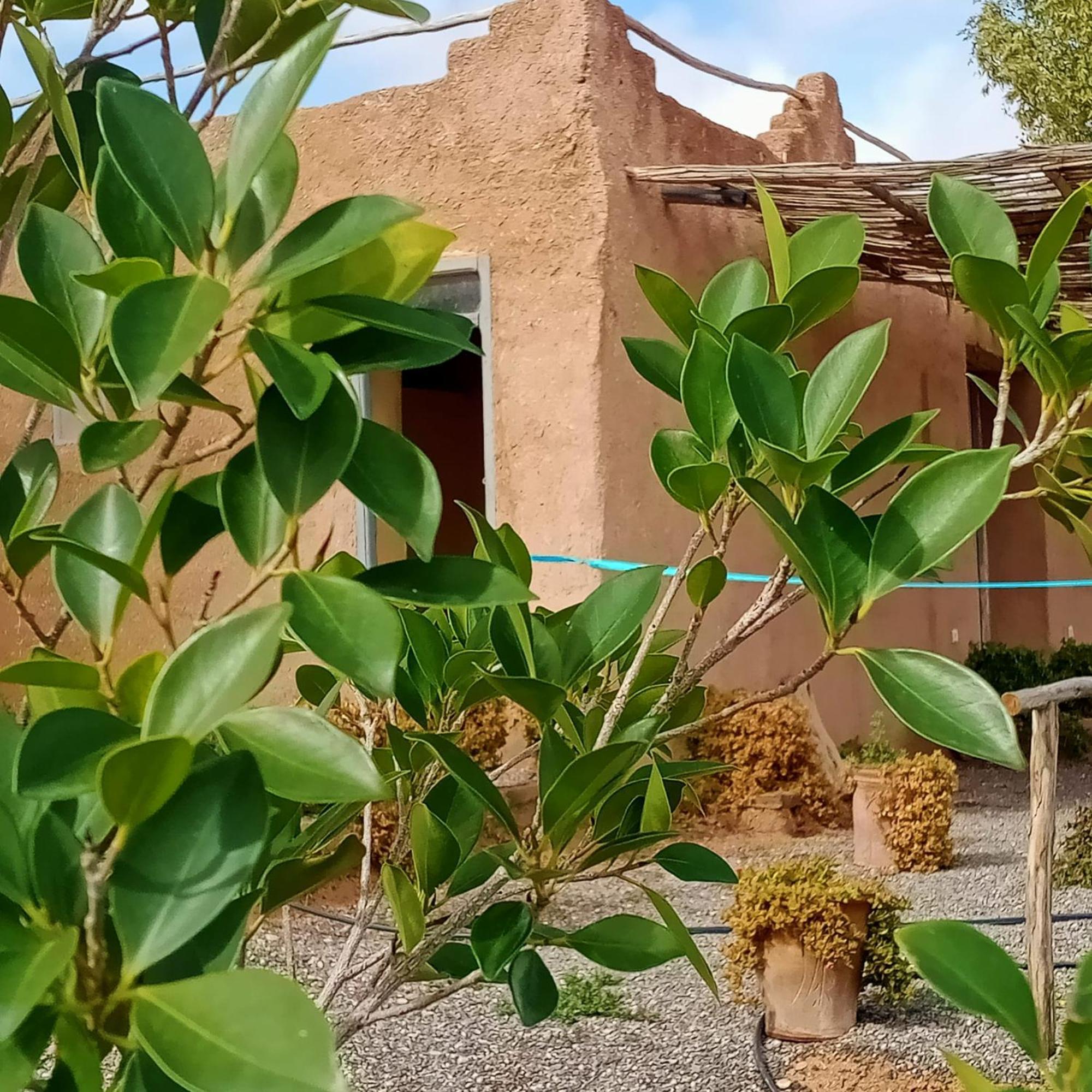 Ngayan Camp Otel Taïzelt Dış mekan fotoğraf