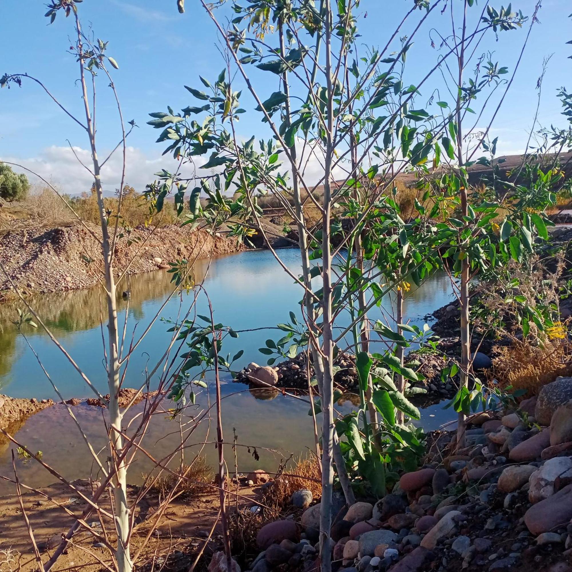 Ngayan Camp Otel Taïzelt Dış mekan fotoğraf