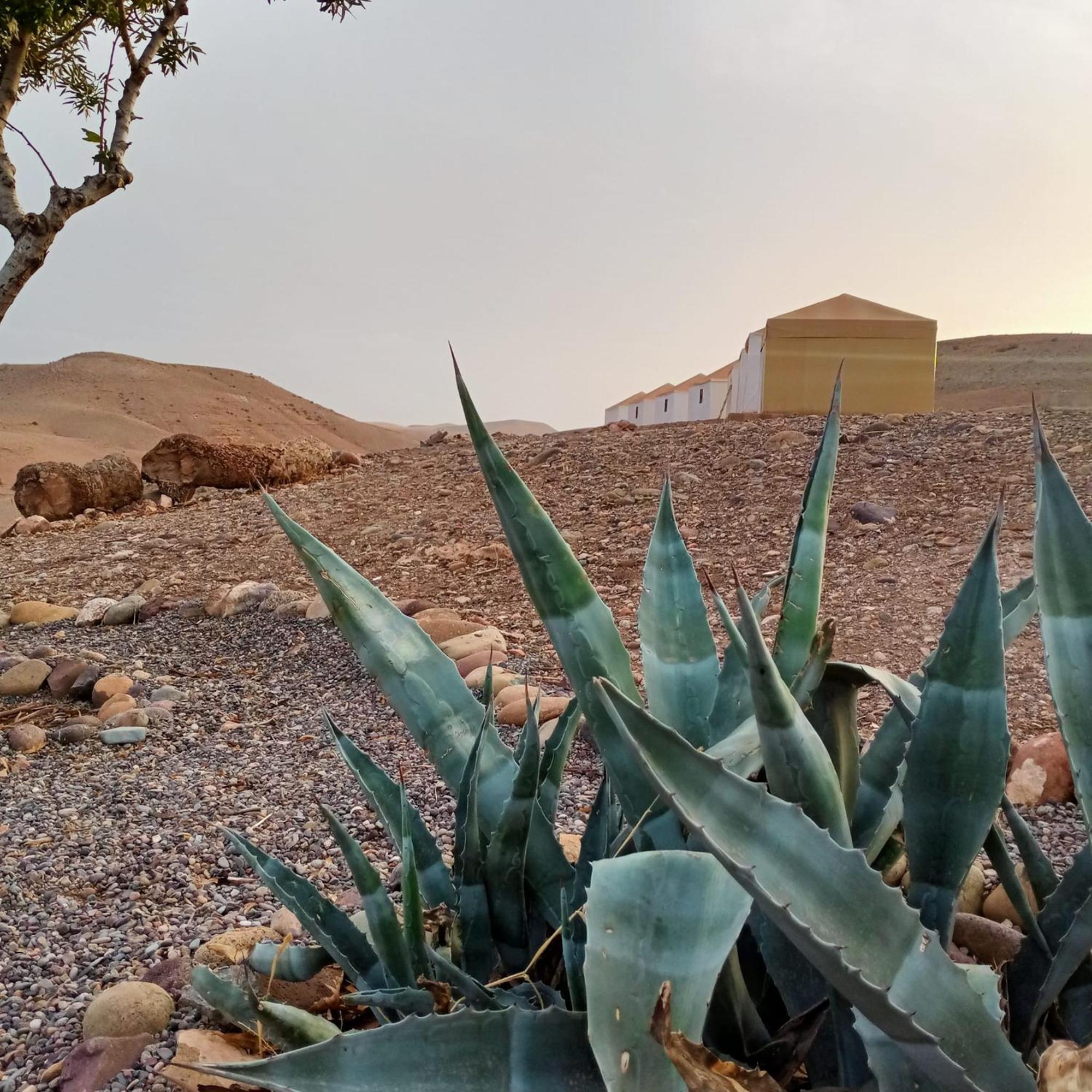 Ngayan Camp Otel Taïzelt Dış mekan fotoğraf